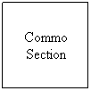 Text Box: Commo Section
