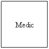 Text Box: Medic
