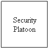 Text Box: Security Platoon
